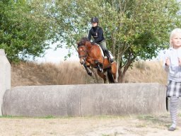 IMG_8351_web